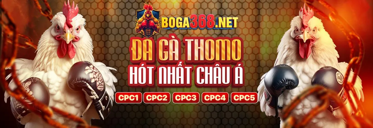 Xác nhận điều khoản iwin456